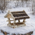 Realistic_winter_photo_of_a_wo_GPT_Image_15_62503.jpg